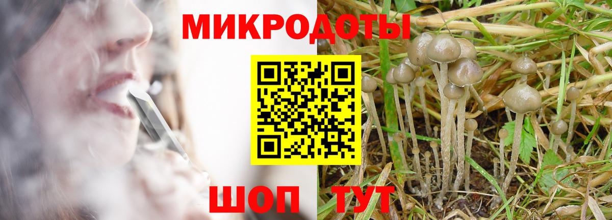 Псилоцибиновые грибы прущие грибы  купить наркотик  Долгопрудный  Галлюциногенные грибы Cubensis  Вход с VPN 